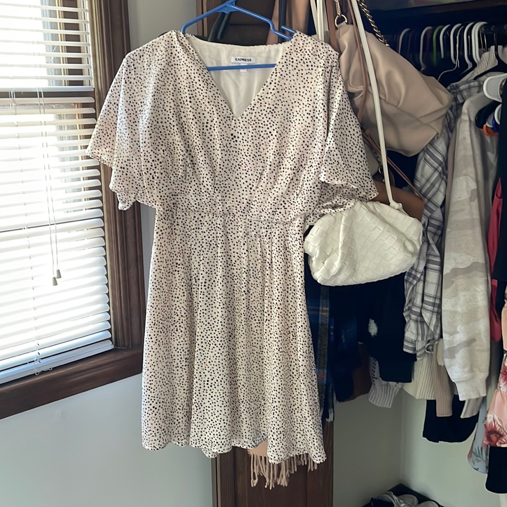 Express spring dress